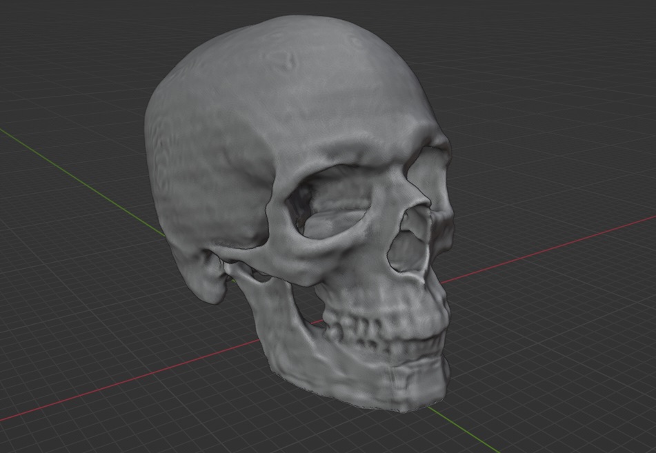 3D model of skull prepared and optimized for 3D printing in Blender